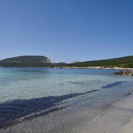 Pischina Salida-Villetta Pavoncelle Alghero Kültér fotó