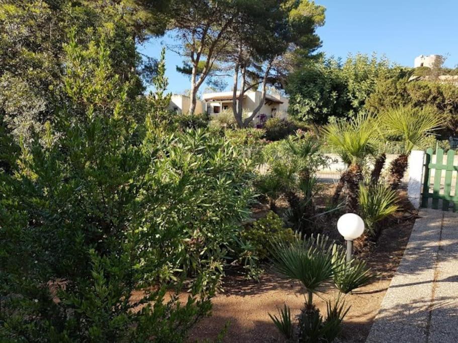Pischina Salida-Villetta Pavoncelle Alghero Kültér fotó